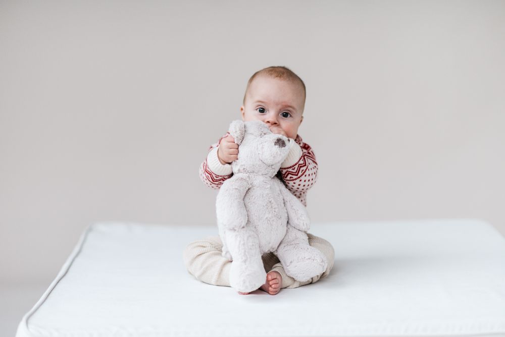 Peluches - Esteban - DIMPEL