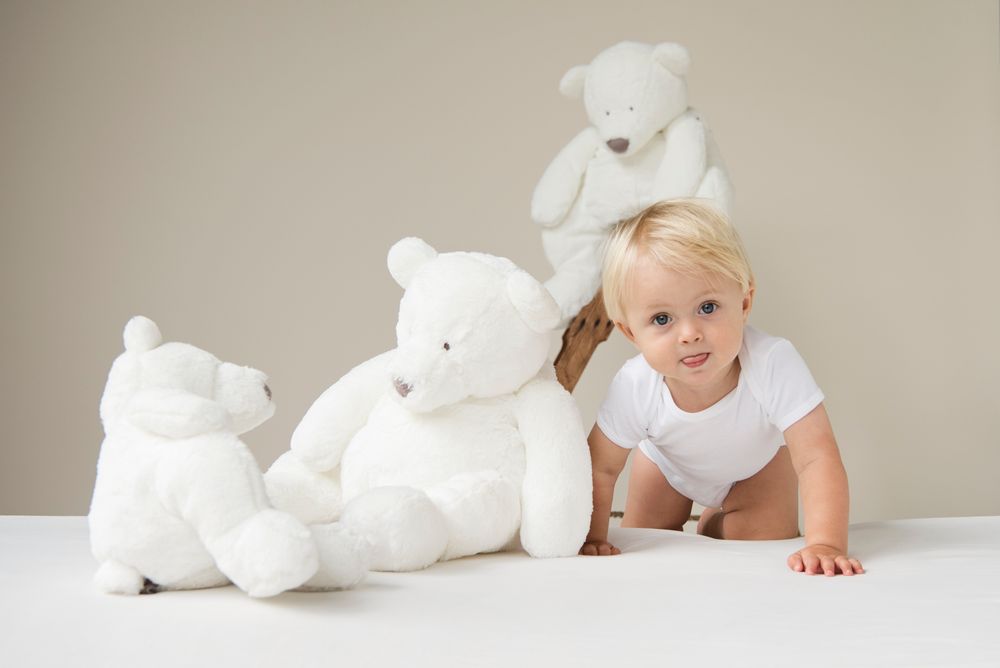 Peluches - Esteban - DIMPEL