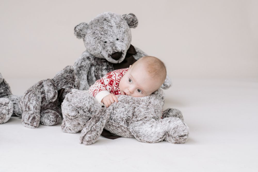 Peluches - Esteban - DIMPEL
