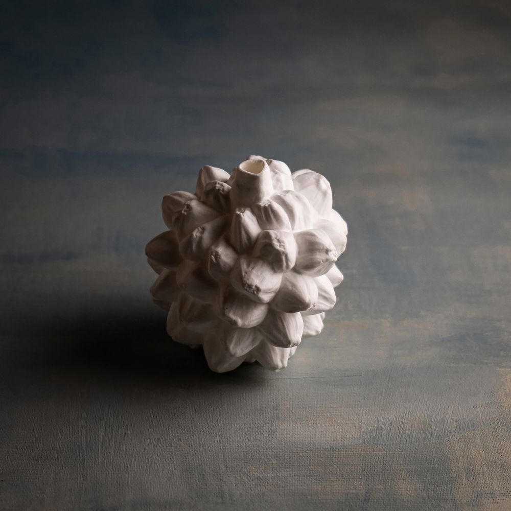 Vases - Vase FRUCTUS NIPA, floral, botanique, en forme de fruit, doré, fait main - KLATT OBJECTS