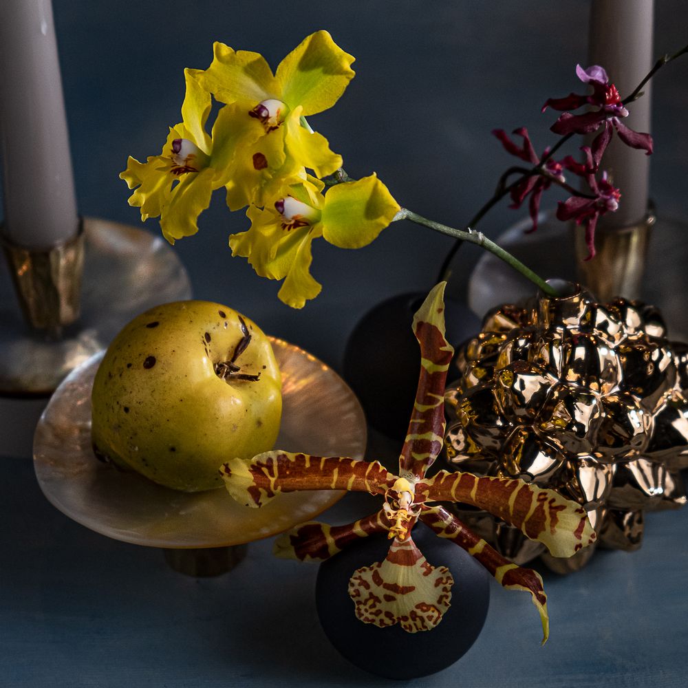 Vases - Vase FRUCTUS NIPA, floral, botanique, en forme de fruit, doré, fait main - KLATT OBJECTS