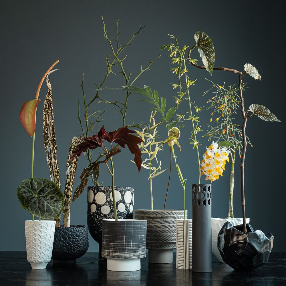 Objets de décoration - Jardinière RADICA ROCHER, coquillage, nacre, incrustation, perle - KLATT OBJECTS