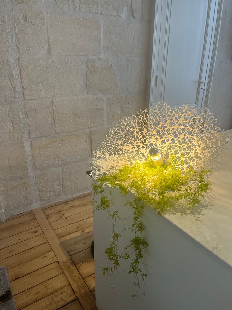 Design objects - Lantern - NATALIE SANZACHE