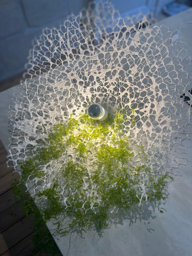 Design objects - Lantern - NATALIE SANZACHE
