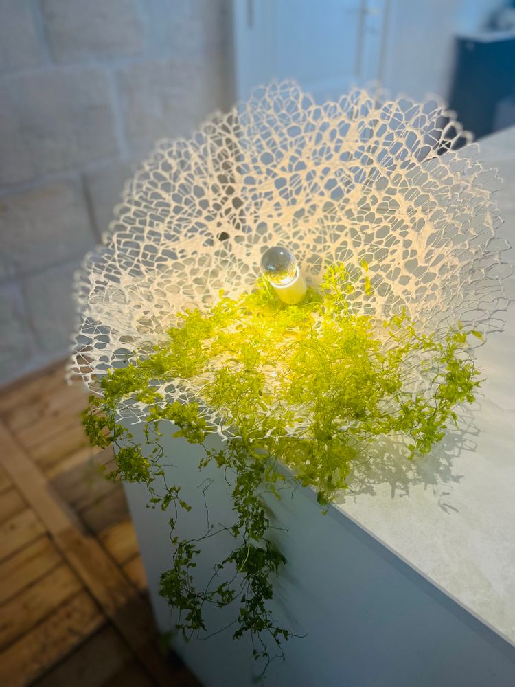 Design objects - Lantern - NATALIE SANZACHE