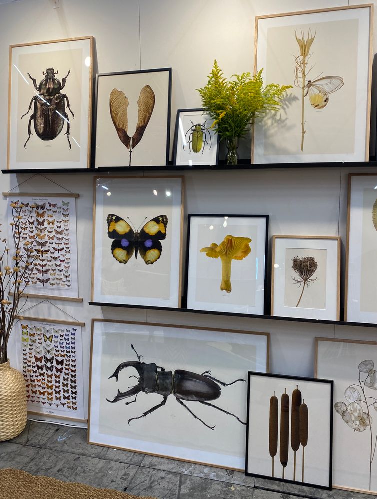 Frames - Frames - LILJEBERGS
