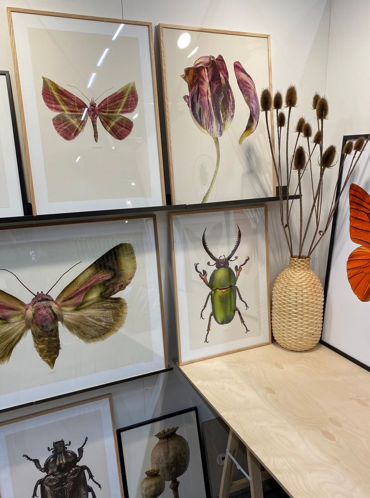 Frames - Framed art prints - LILJEBERGS