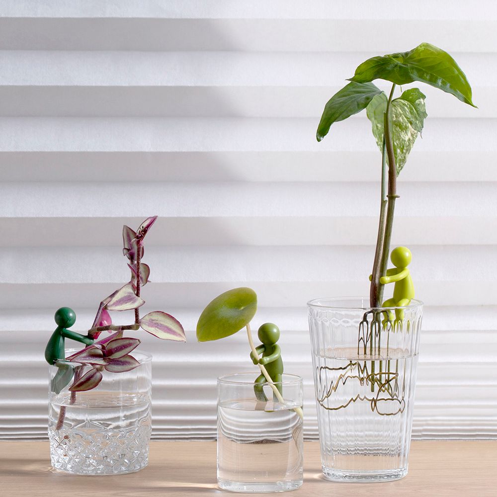 Aménagements pour bureau - Leafriend - pour faire des boutures - PA DESIGN