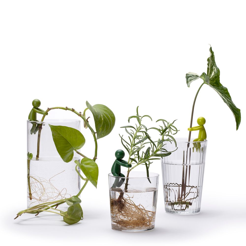Aménagements pour bureau - Leafriend - pour faire des boutures - PA DESIGN