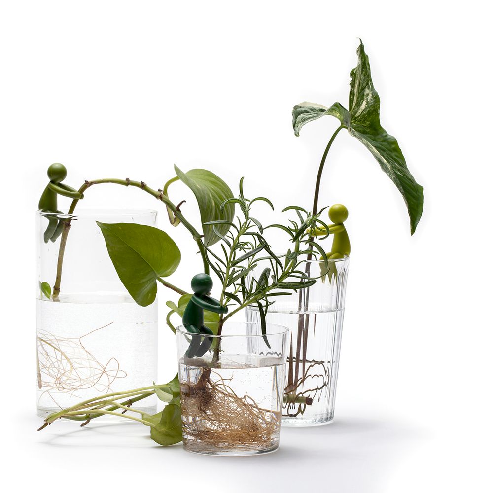 Aménagements pour bureau - Leafriend - pour faire des boutures - PA DESIGN