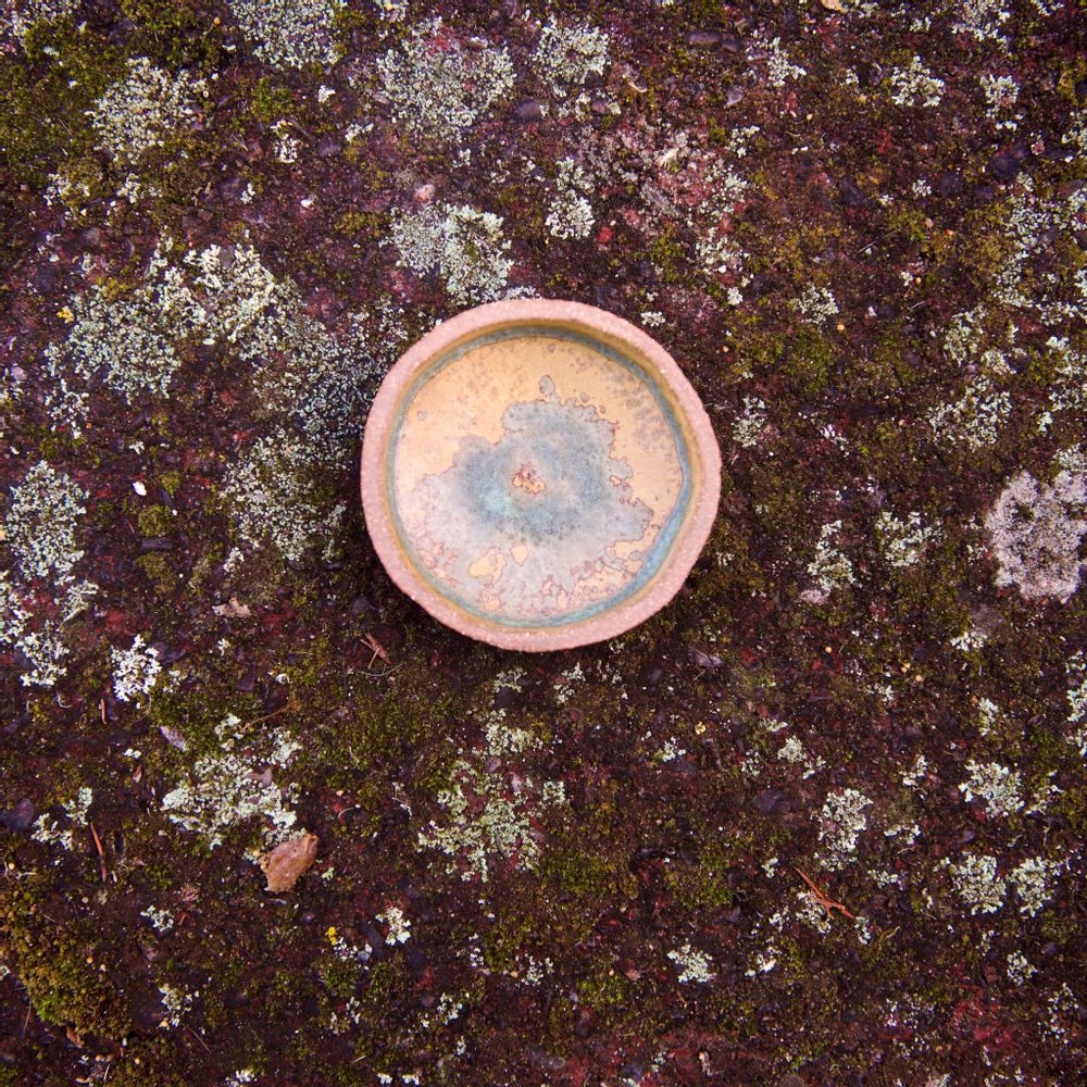Bols - Ramequin LICHEN - ANNE KRIEG, CERAMISTE