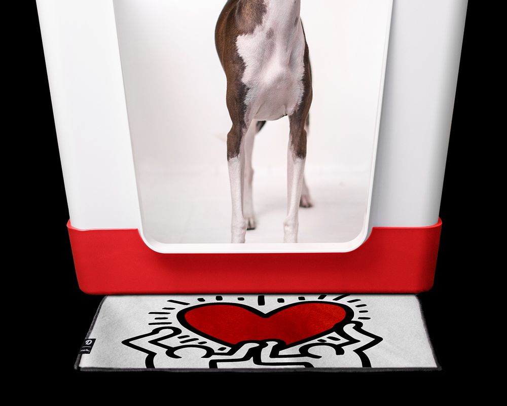 Hotel bedrooms - Doggy Bathroom x Keith Haring - DOGGY BATHROOM