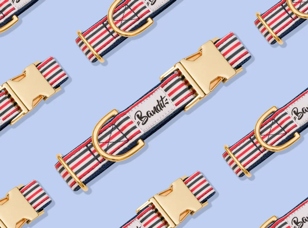 Pet accessories - THE FRENCH BANBAN - A&M - FRENCH BANDIT