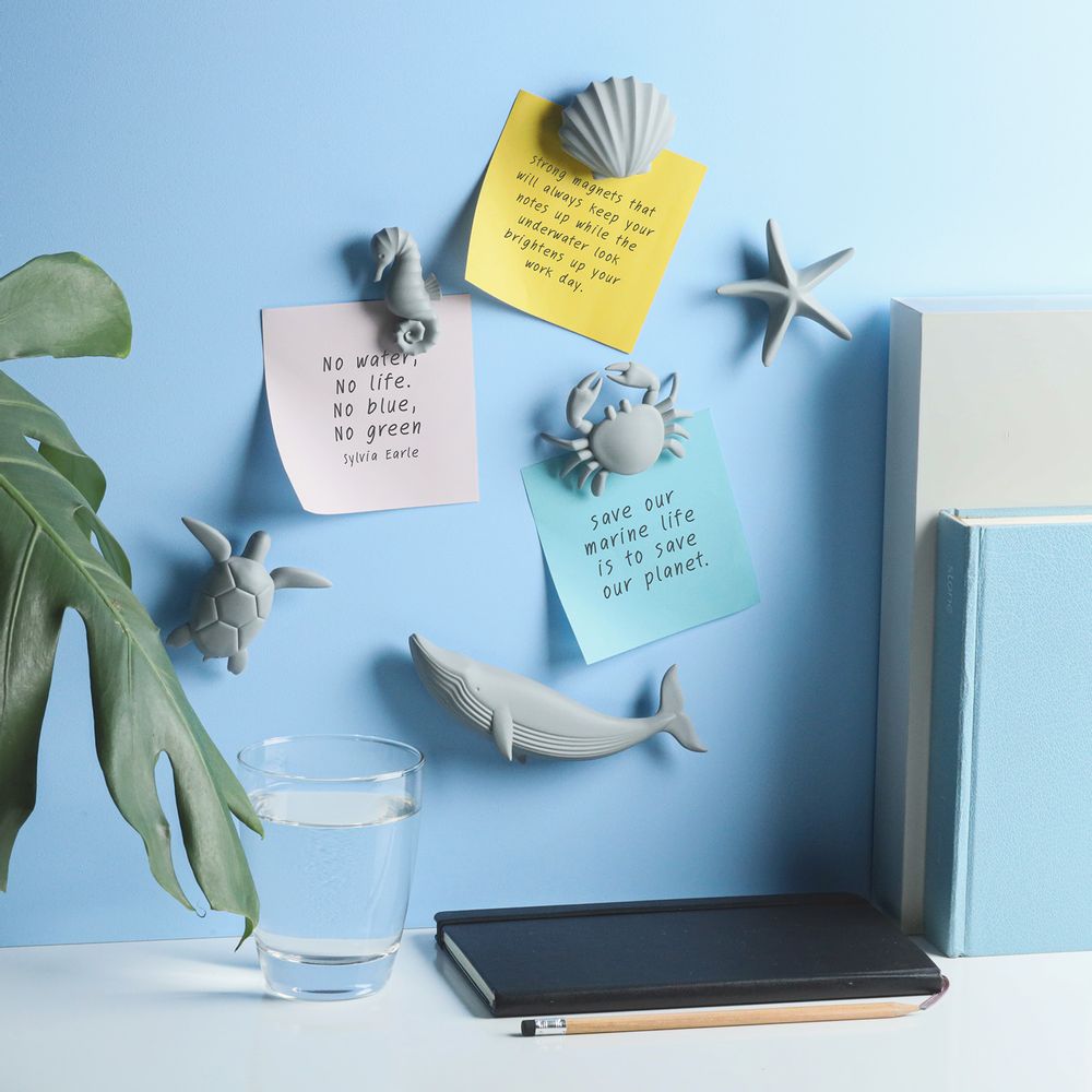 Autres fournitures bureau  - Sea Star Magnet : New Ocean Collection Matériaux respectueux de l'environnement Magnet Toys Kids - QUALY DESIGN OFFICIAL