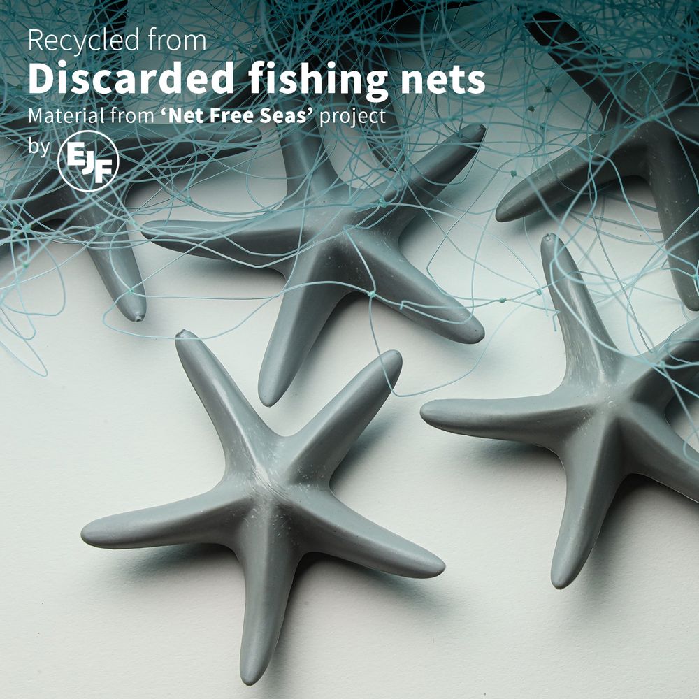 Autres fournitures bureau  - Sea Star Magnet : New Ocean Collection Matériaux respectueux de l'environnement Magnet Toys Kids - QUALY DESIGN OFFICIAL