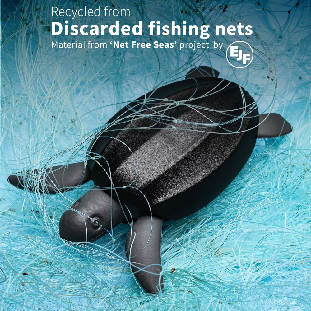 Cadeaux - Ouvre-bouteille Save Turtle : New Ocean Collection Cuisine Boissons Fête Matériaux respectueux de l'environnement  - QUALY DESIGN OFFICIAL