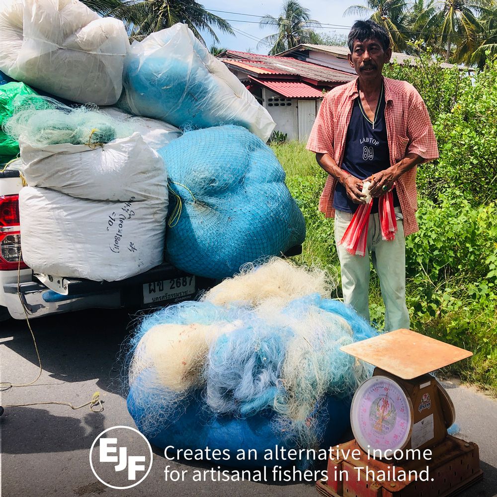 Cadeaux - Ouvre-bouteille Save Turtle : New Ocean Collection Cuisine Boissons Fête Matériaux respectueux de l'environnement  - QUALY DESIGN OFFICIAL