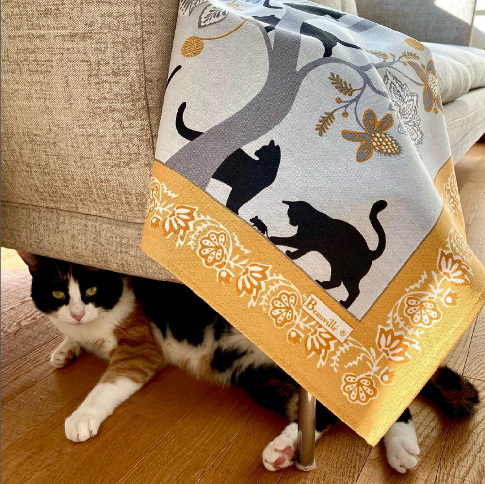 Torchons textile - Torchon Chat Pitre - BEAUVILLÉ