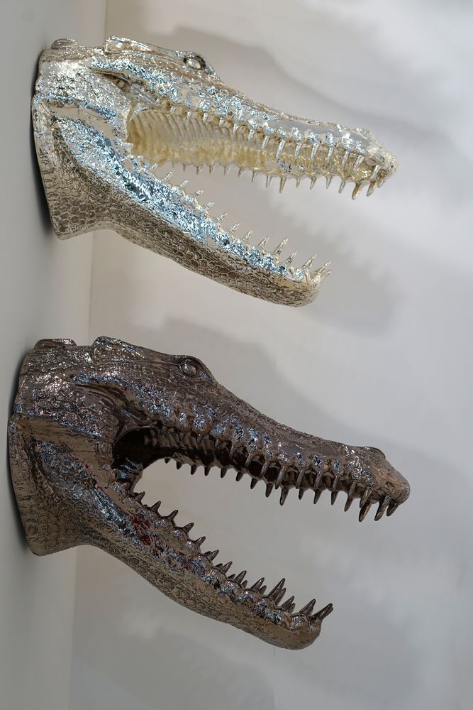 Other smart objects - ALLIGATOR - FUORILUOGO CHROME DESIGN