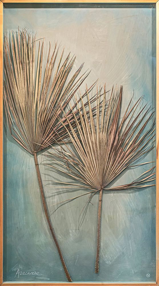 Objets de décoration - Palmiers - OFFICINA NATURALIS