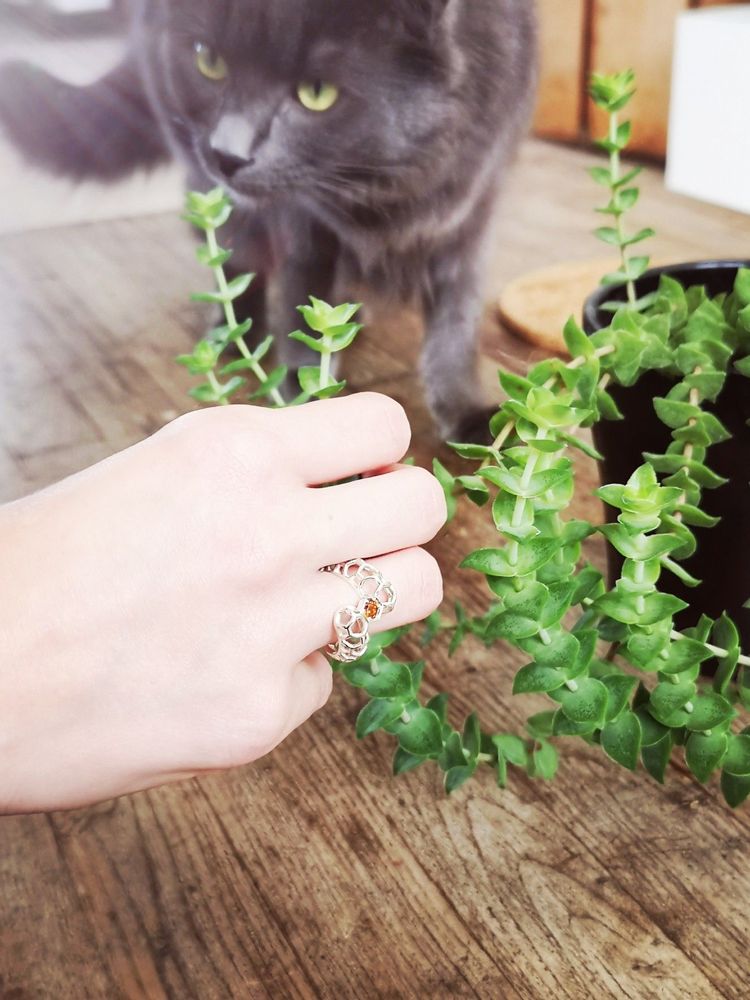 Jewelry - Nanotube ring - INSOLITE JOAILLERIE