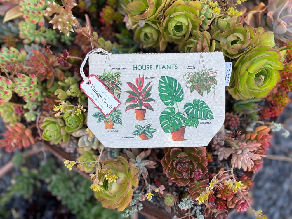 Gifts - Cavallini pouches - CAVALLINI PAPER & CO.