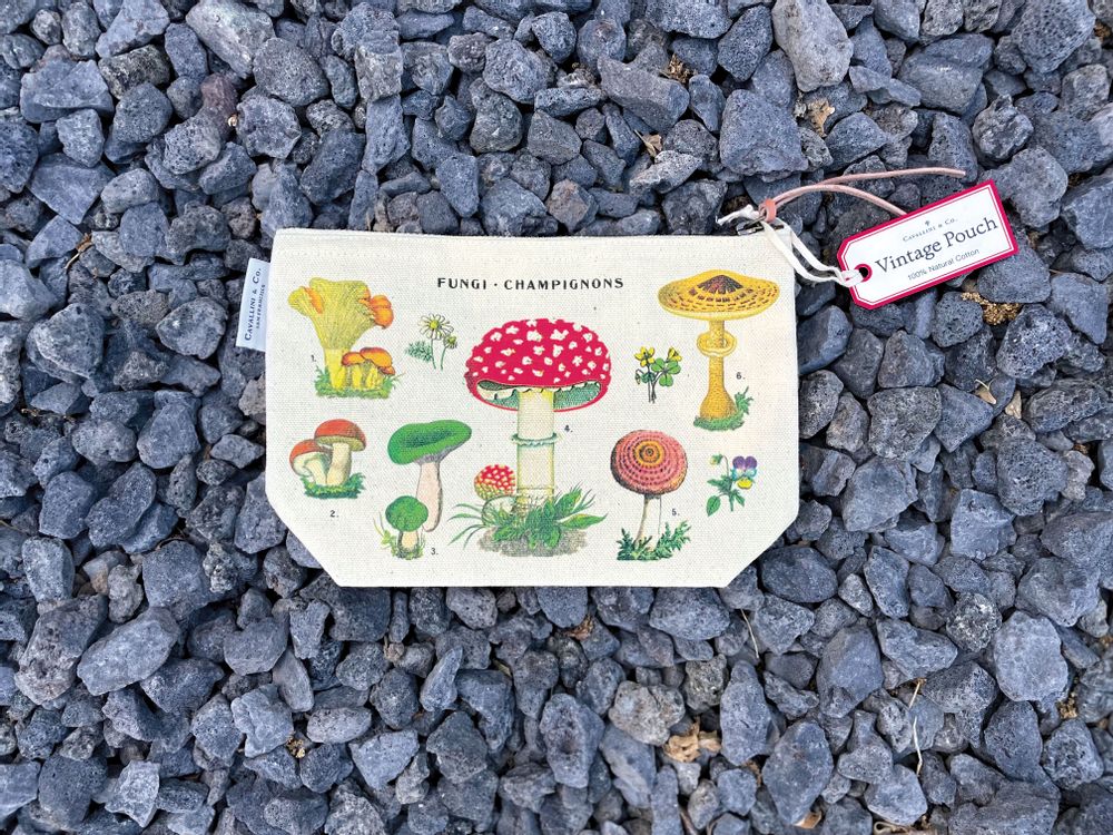 Gifts - Cavallini pouches - CAVALLINI PAPER & CO.