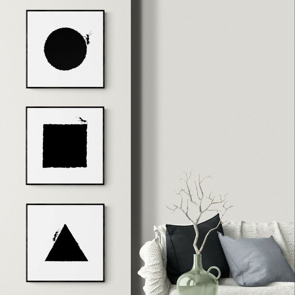Art photos - Ants triptych - L'ATELIER DES CREATEURS