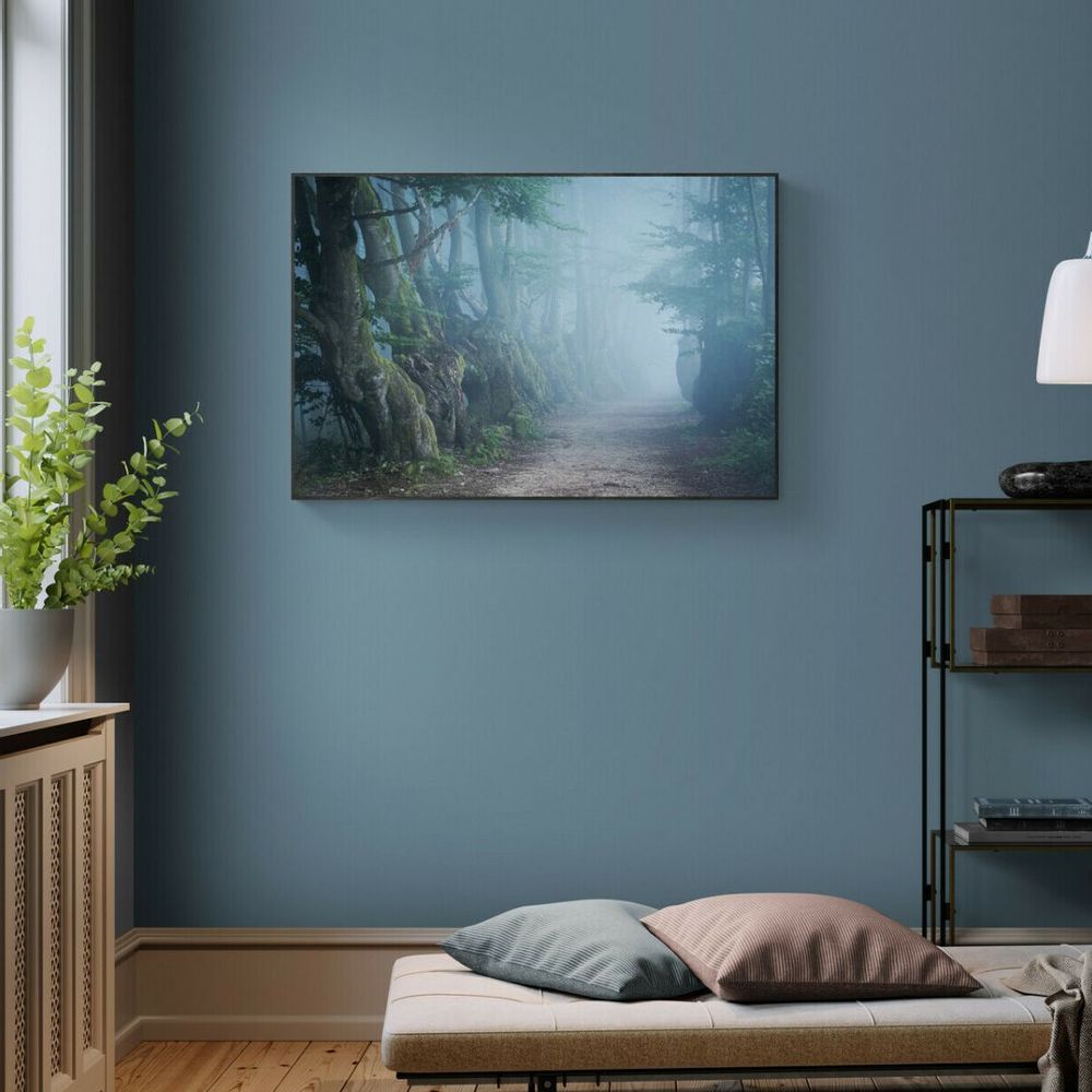 Art photos - Photography - Avenue of the Giants - L'ATELIER DES CREATEURS