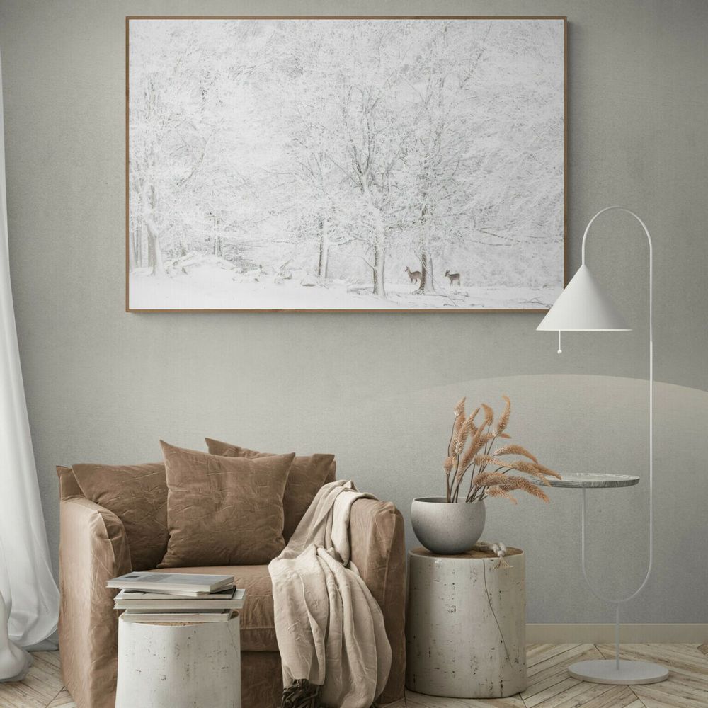 Art photos - Photography - Deer - L'ATELIER DES CREATEURS