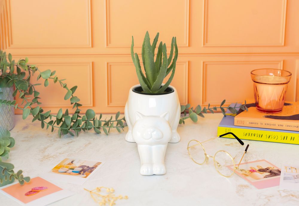 Accessoires de déco extérieure - Pots de plantes pour - FISURA