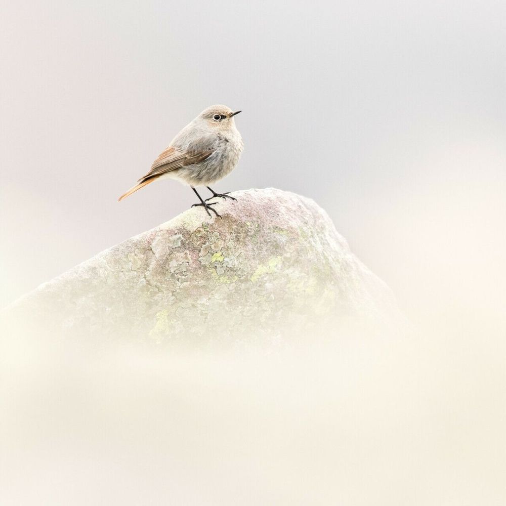Tableaux - Photographie - Eminence - L'ATELIER DES CREATEURS