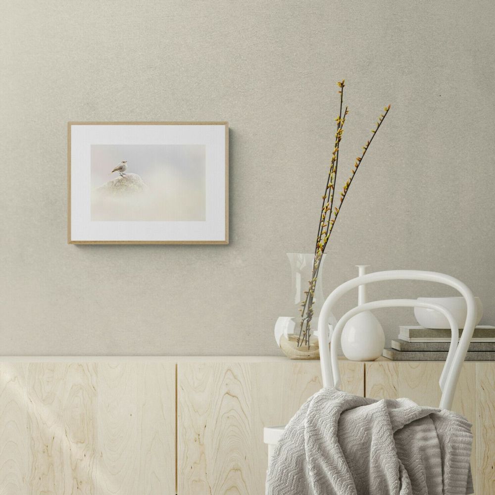 Tableaux - Photographie - Eminence - L'ATELIER DES CREATEURS