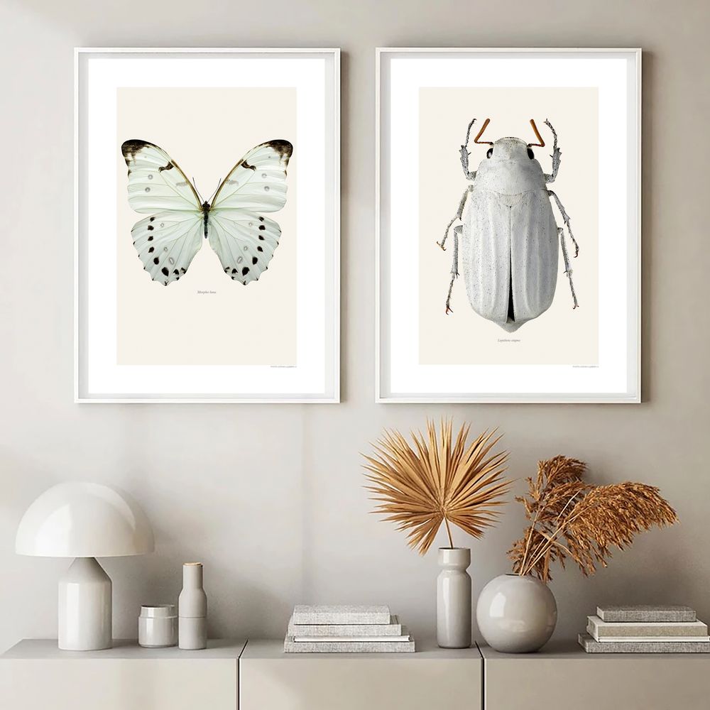 Frames - Frames - LILJEBERGS