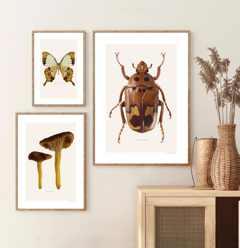 Hotel bedrooms - Art wall - LILJEBERGS