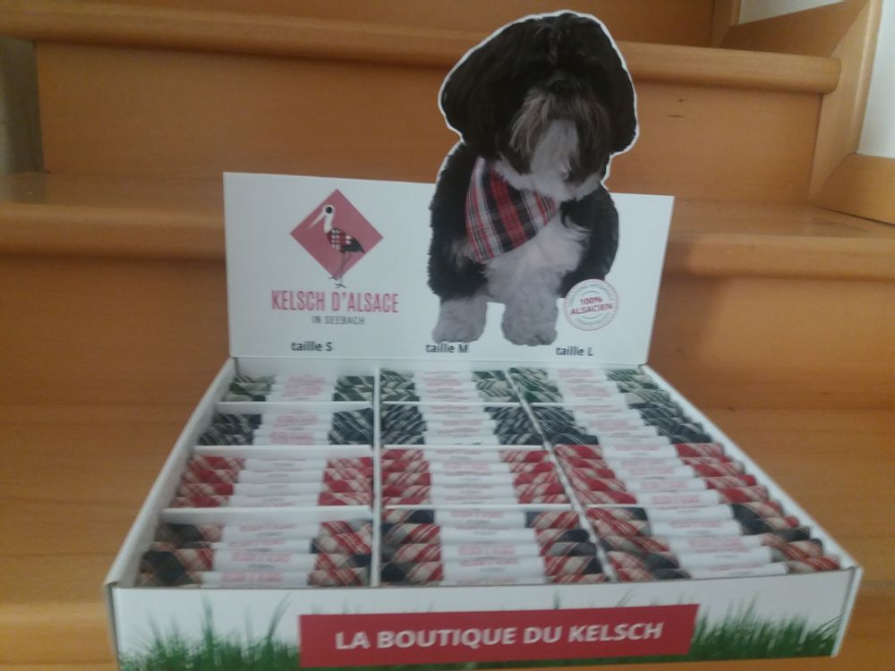 Pet accessories - DOG BANDANA AND MAT - KELSCH D' ALSACE  IN SEEBACH