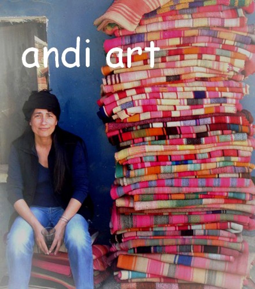 Autres tapis - Tapis ancien traditionnel des Andes - ANDI'ART