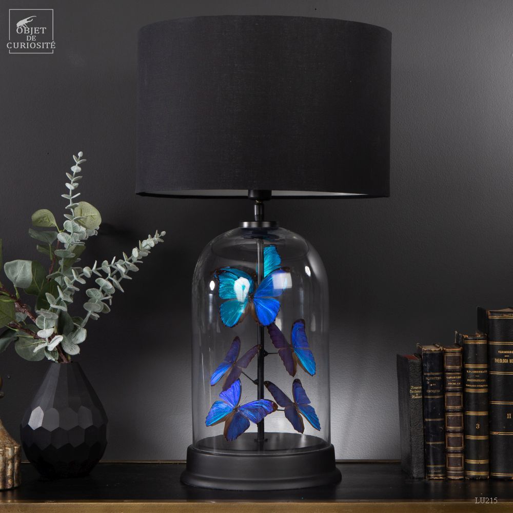 Objets de décoration - Découvrez nos objets pour votre ambiance bleu. - OBJET DE CURIOSITÉ