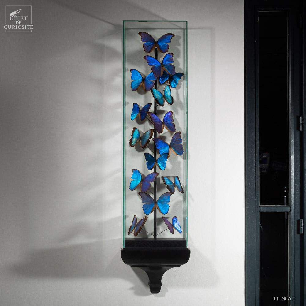 Objets de décoration - Découvrez nos objets pour votre ambiance bleu. - OBJET DE CURIOSITÉ
