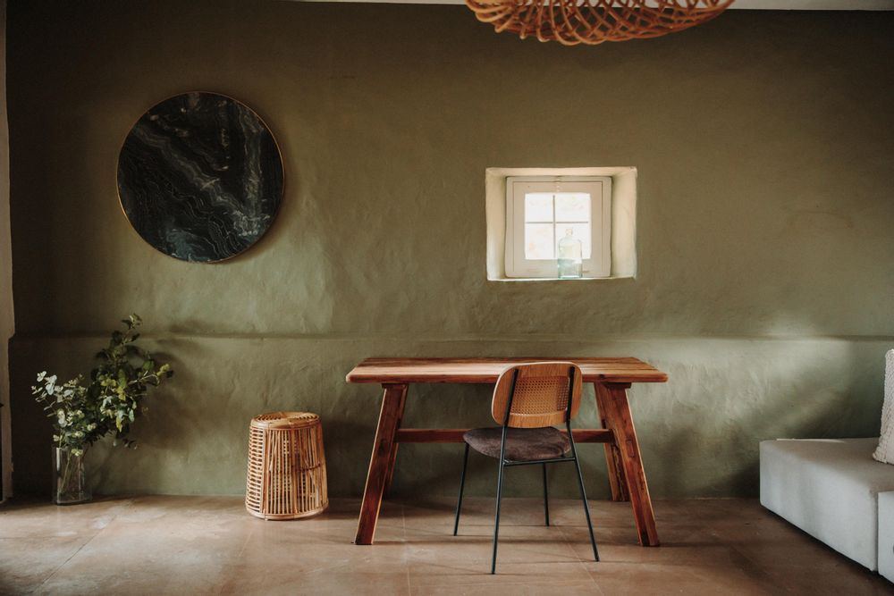 Chaises pour collectivités - Chaise BAYTON - MISTER WILS
