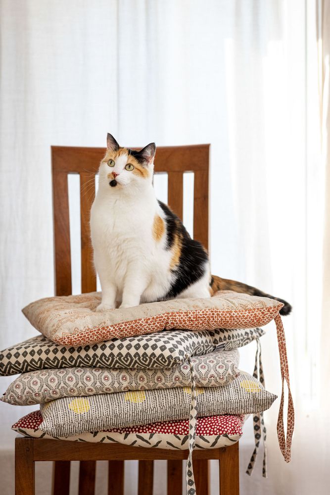 Couettes et oreillers  - Coussins de chaise - TRANQUILLO