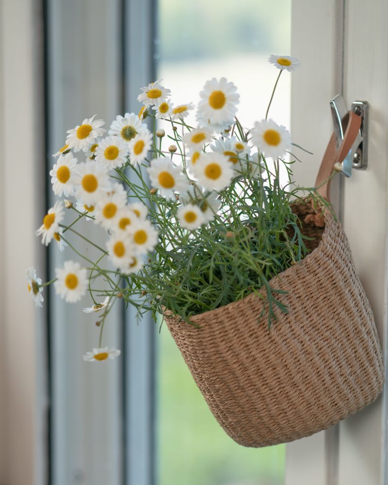 Pots de fleurs - Paniers avec une boucle ou une seule poignée - MIFUKO