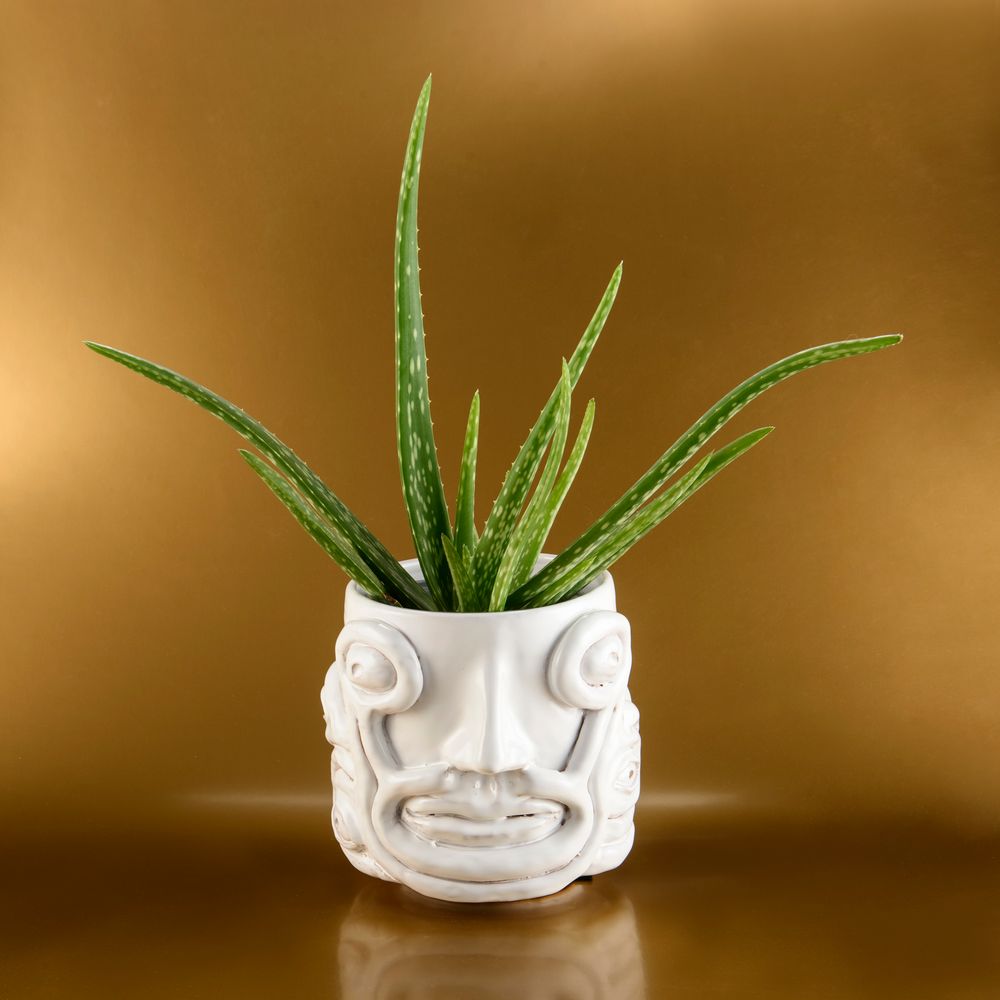 Design objects - VASE POT EYES - FREAKLAB