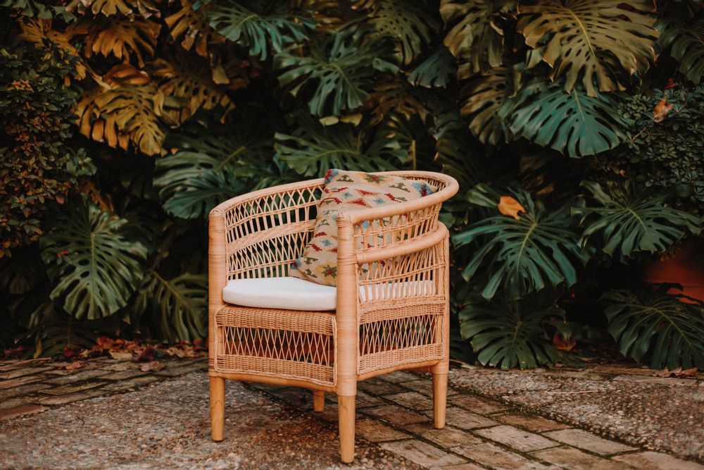 Chaises pour collectivités - Chaise MALAWI - MISTER WILS