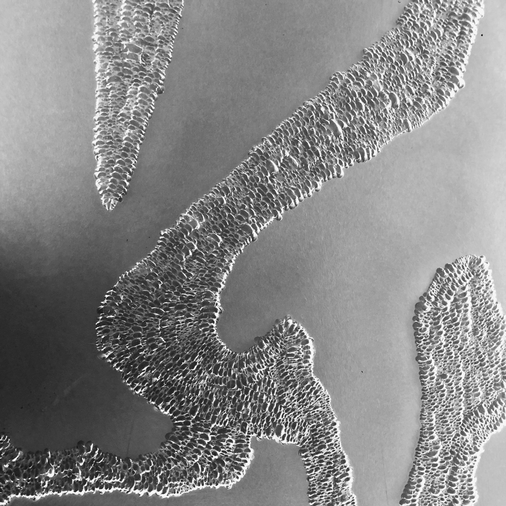 Autres décorations murales - RIVER - F031 - DACRYL