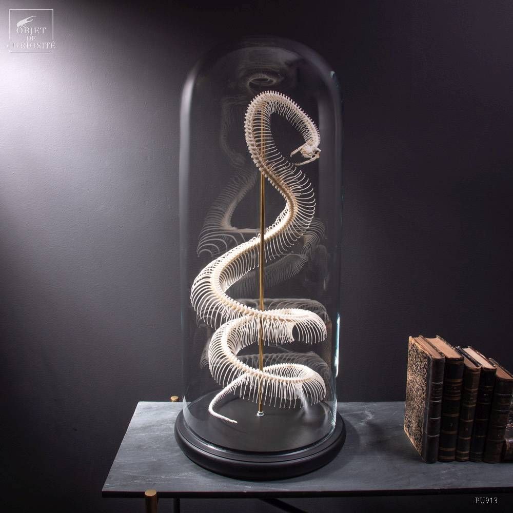 Decorative objects - Discover our objects for your black and white atmosphere. - OBJET DE CURIOSITÉ