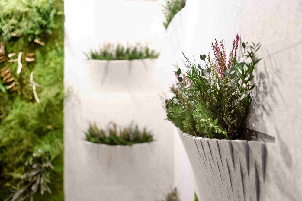 Wall panels - OTOGreen Wall Sound-absorbing and biophilic panels - GREENAREA