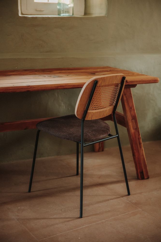 Chaises pour collectivités - Chaise BAYTON - MISTER WILS