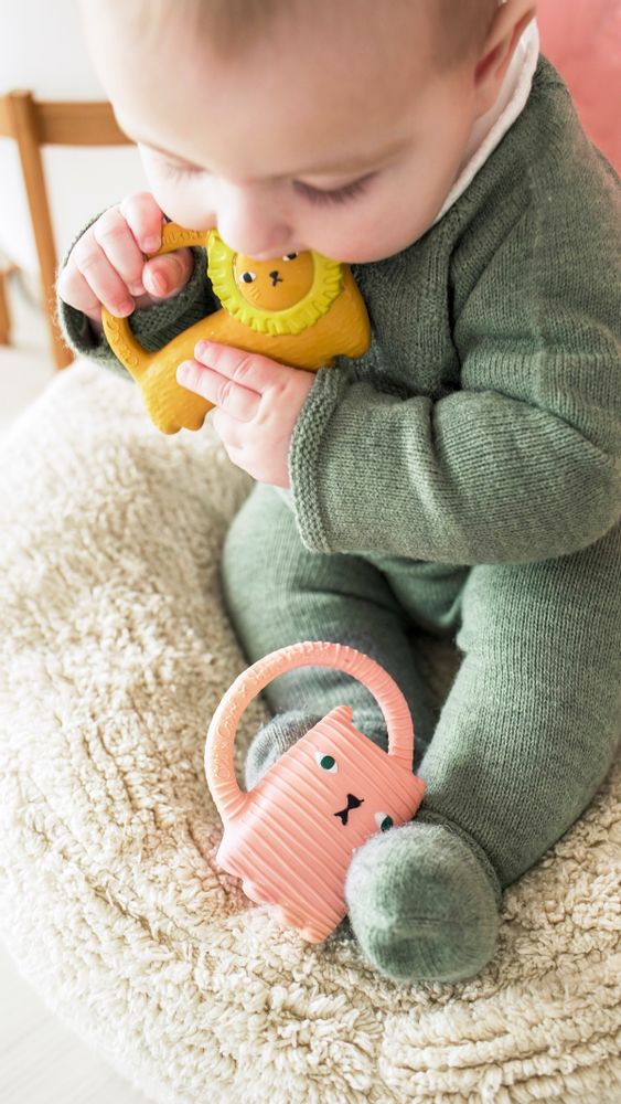 Bath accessories for children - Teethers Oli&Carol X Donna Wilson - OLI&CAROL FRANCE