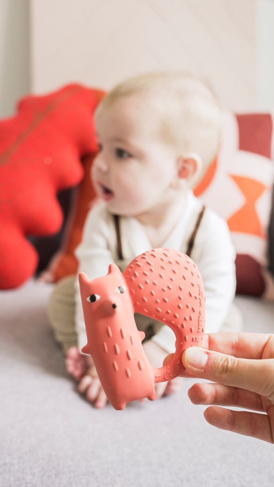 Bath accessories for children - Teethers Oli&Carol X Donna Wilson - OLI&CAROL FRANCE